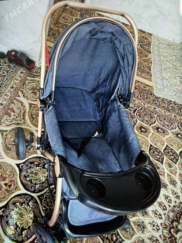 Caga kalyaska - Änew - img 3