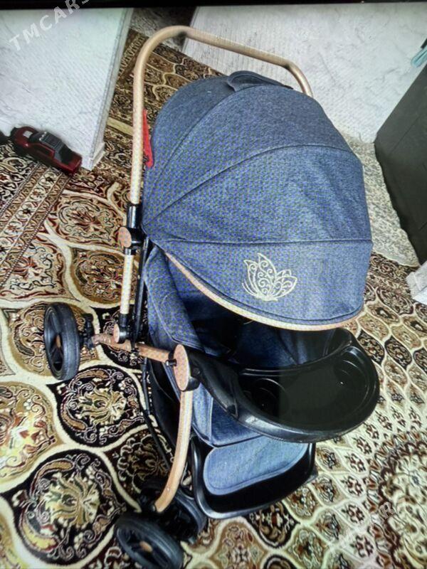 Caga kalyaska - Änew - img 1