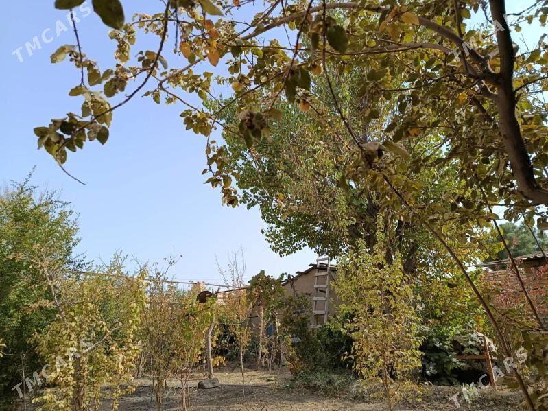 Дача - Мары - img 9