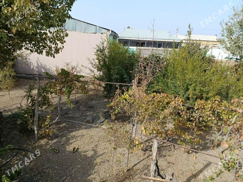 Дача - Мары - img 7