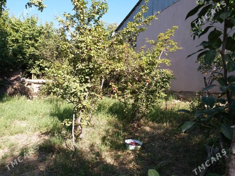 Дача - Мары - img 3