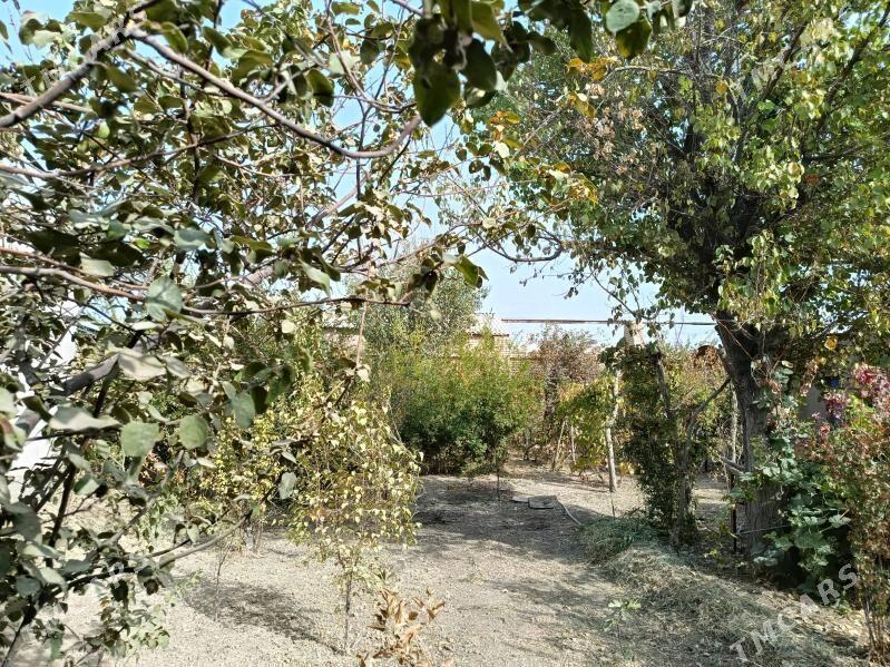 Дача - Мары - img 6