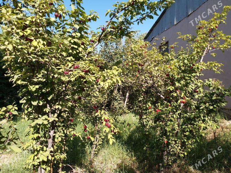 Дача - Мары - img 4