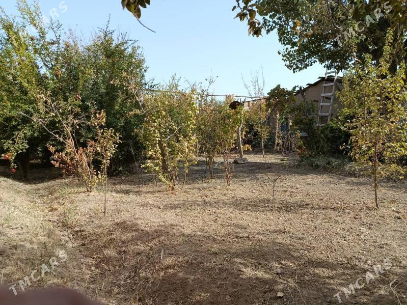 Дача - Мары - img 2