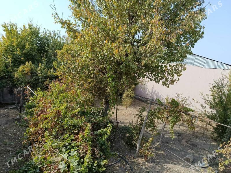 Дача - Мары - img 5