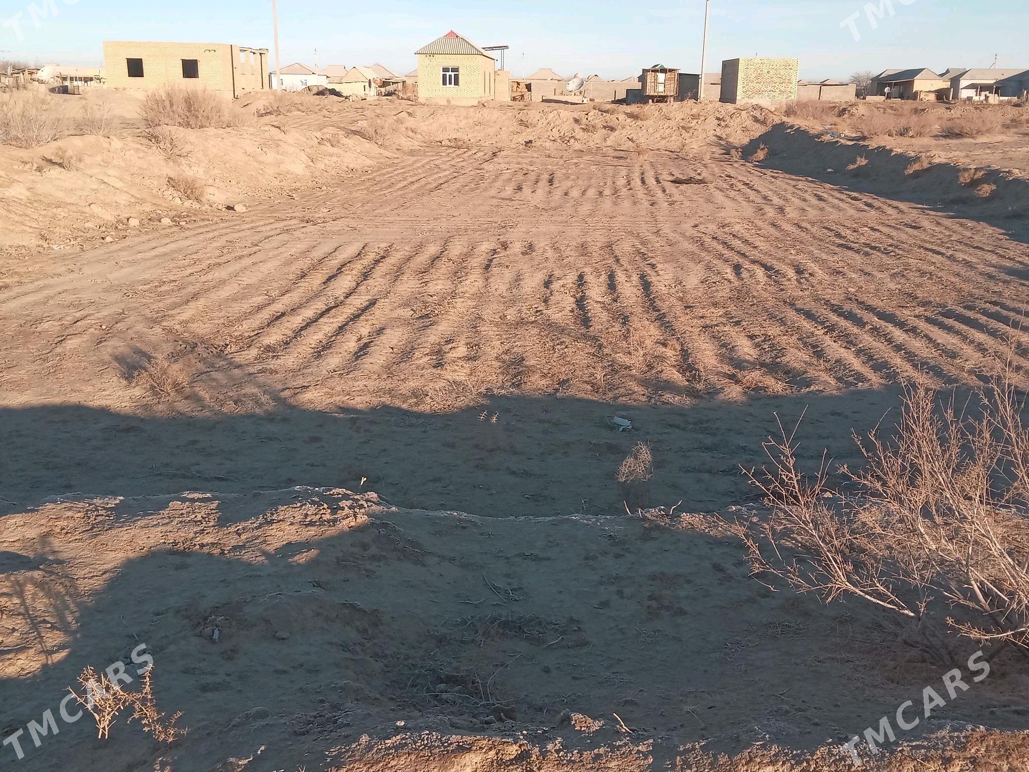 satlyk jaý Duşak - Кака - img 2