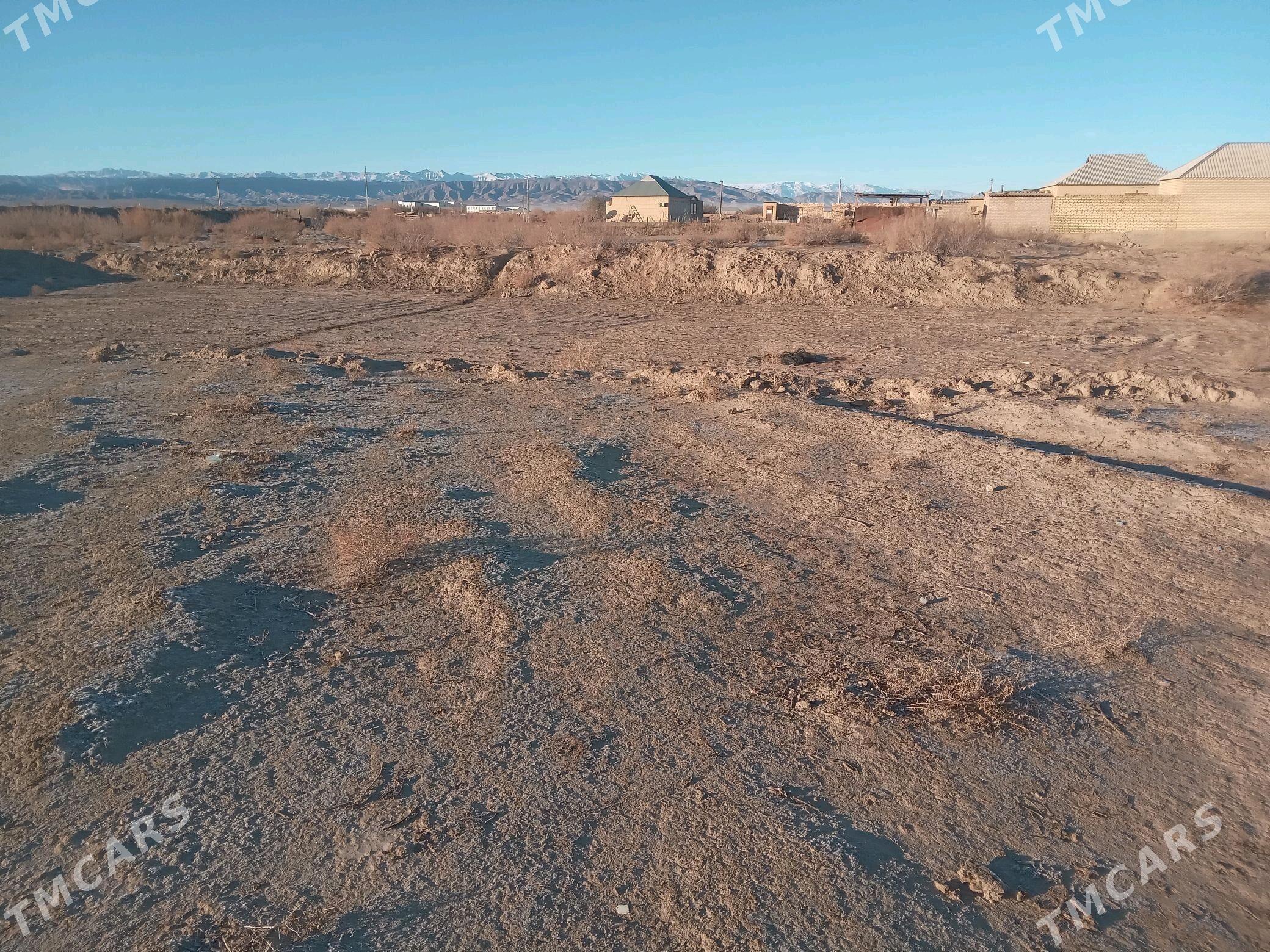 satlyk jaý Duşak - Кака - img 3