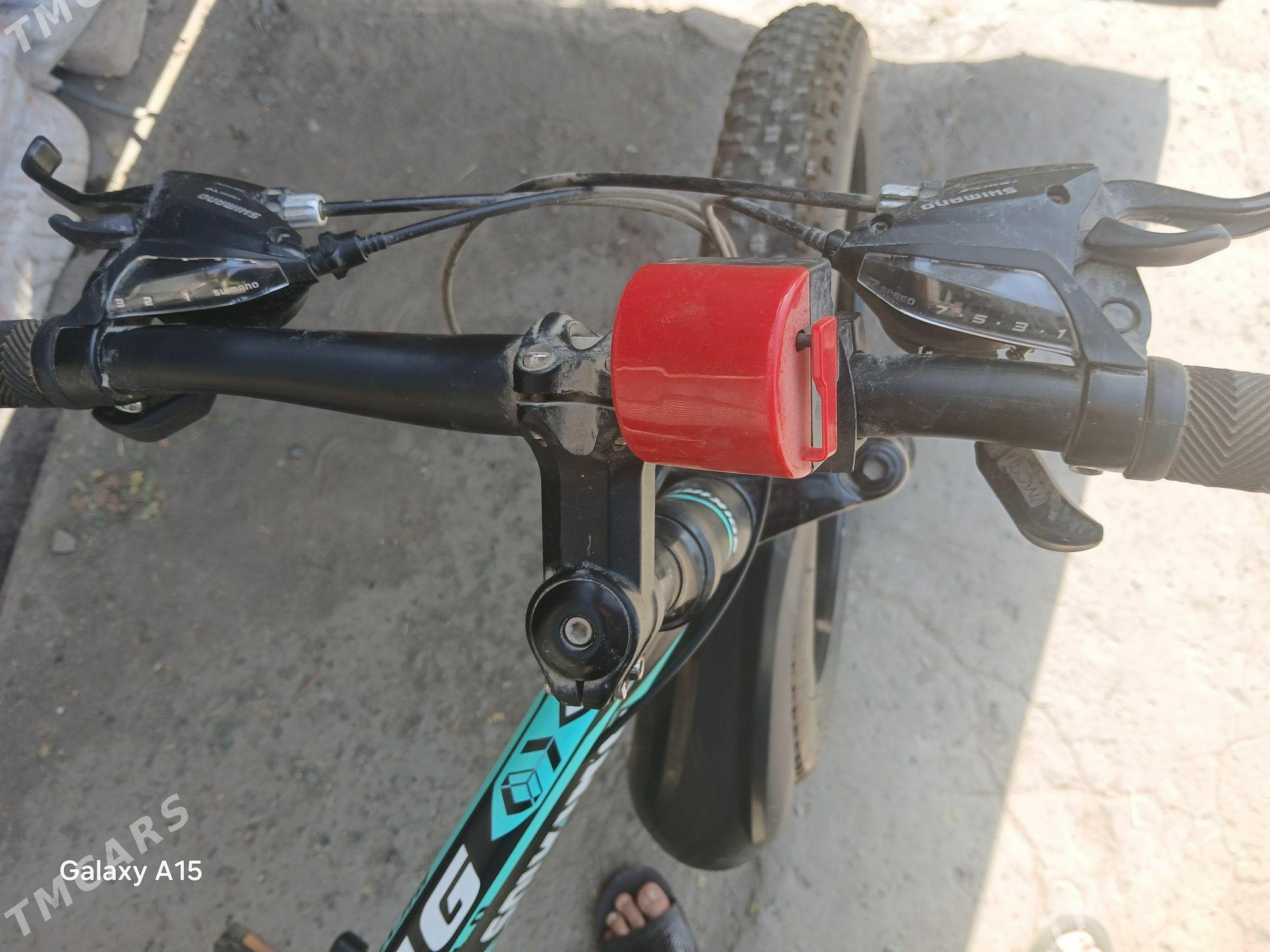 spor velsapet - Daşoguz - img 3