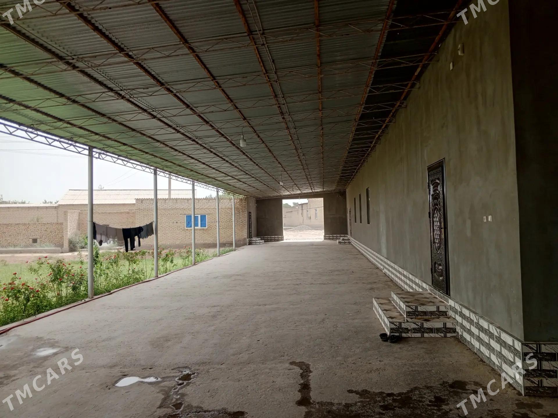 Jay - Saýat - img 5