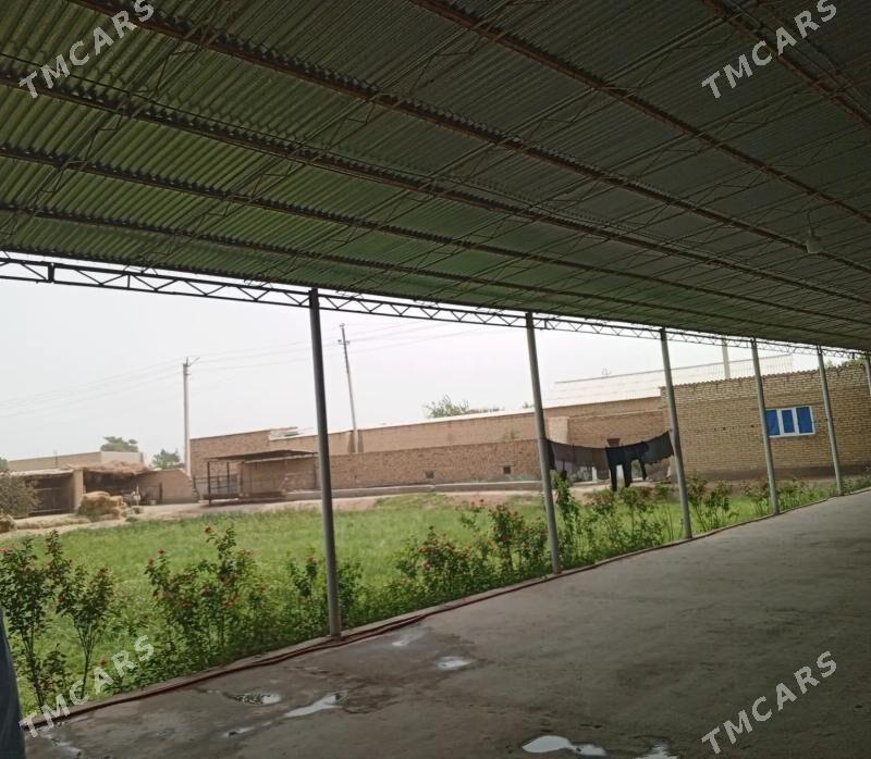 Jay - Saýat - img 2