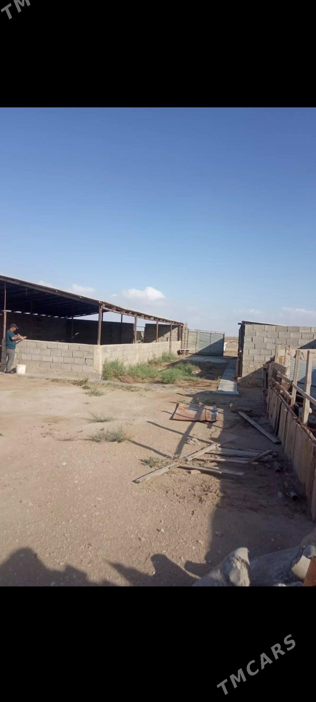 Arbita Daça Арбита дача - Balkanabat - img 7