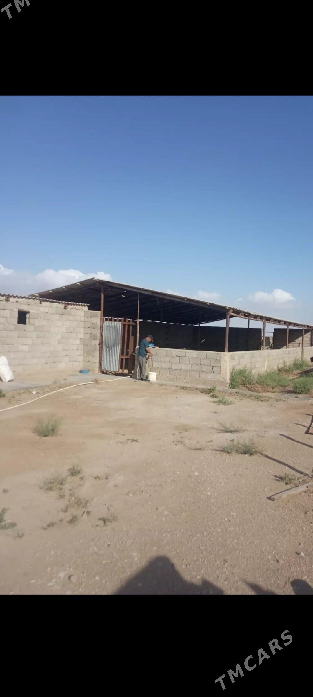 Arbita Daça Арбита дача - Balkanabat - img 9