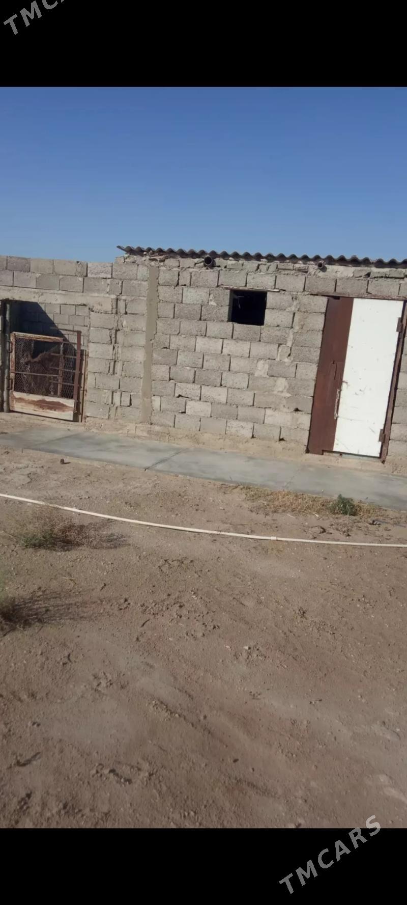 Arbita Daça Арбита дача - Balkanabat - img 6