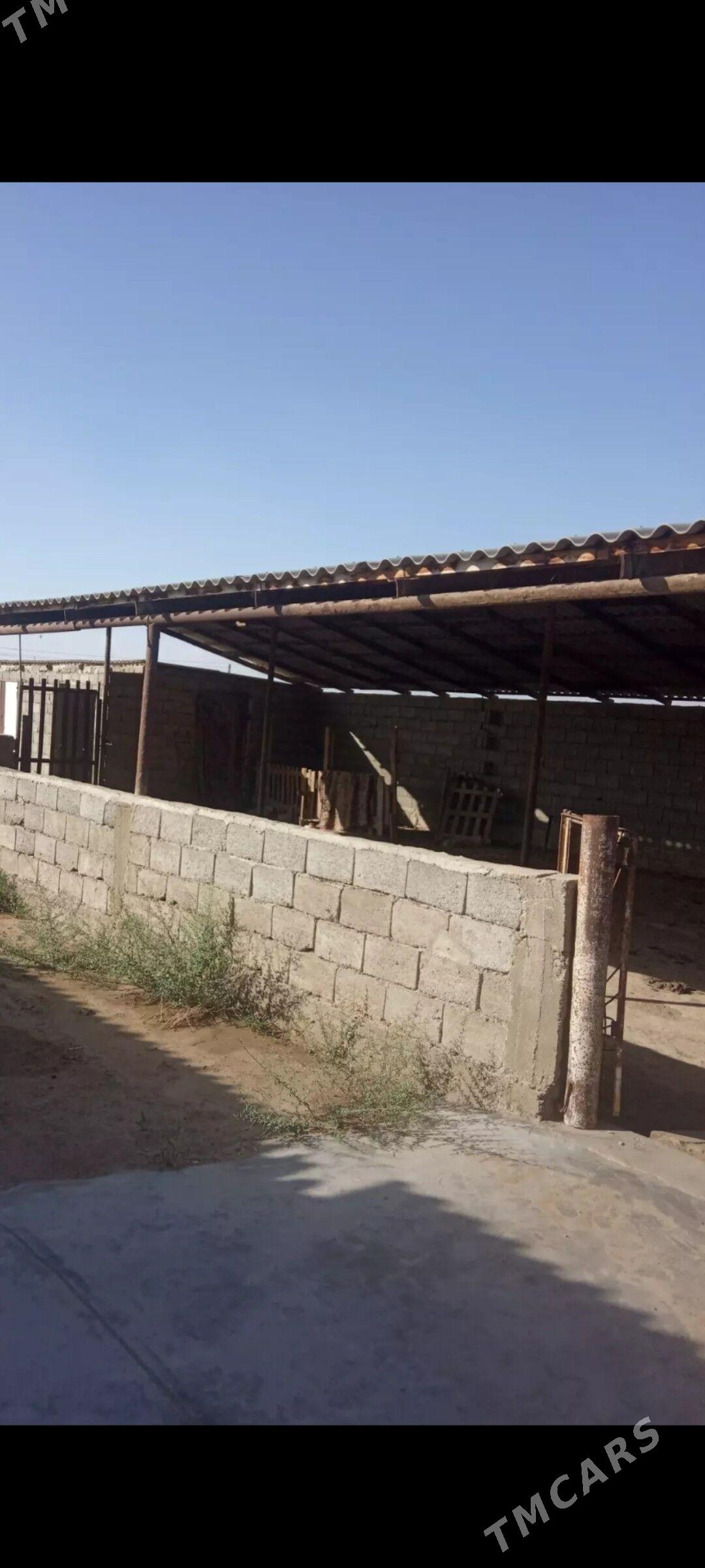 Arbita Daça Арбита дача - Balkanabat - img 5