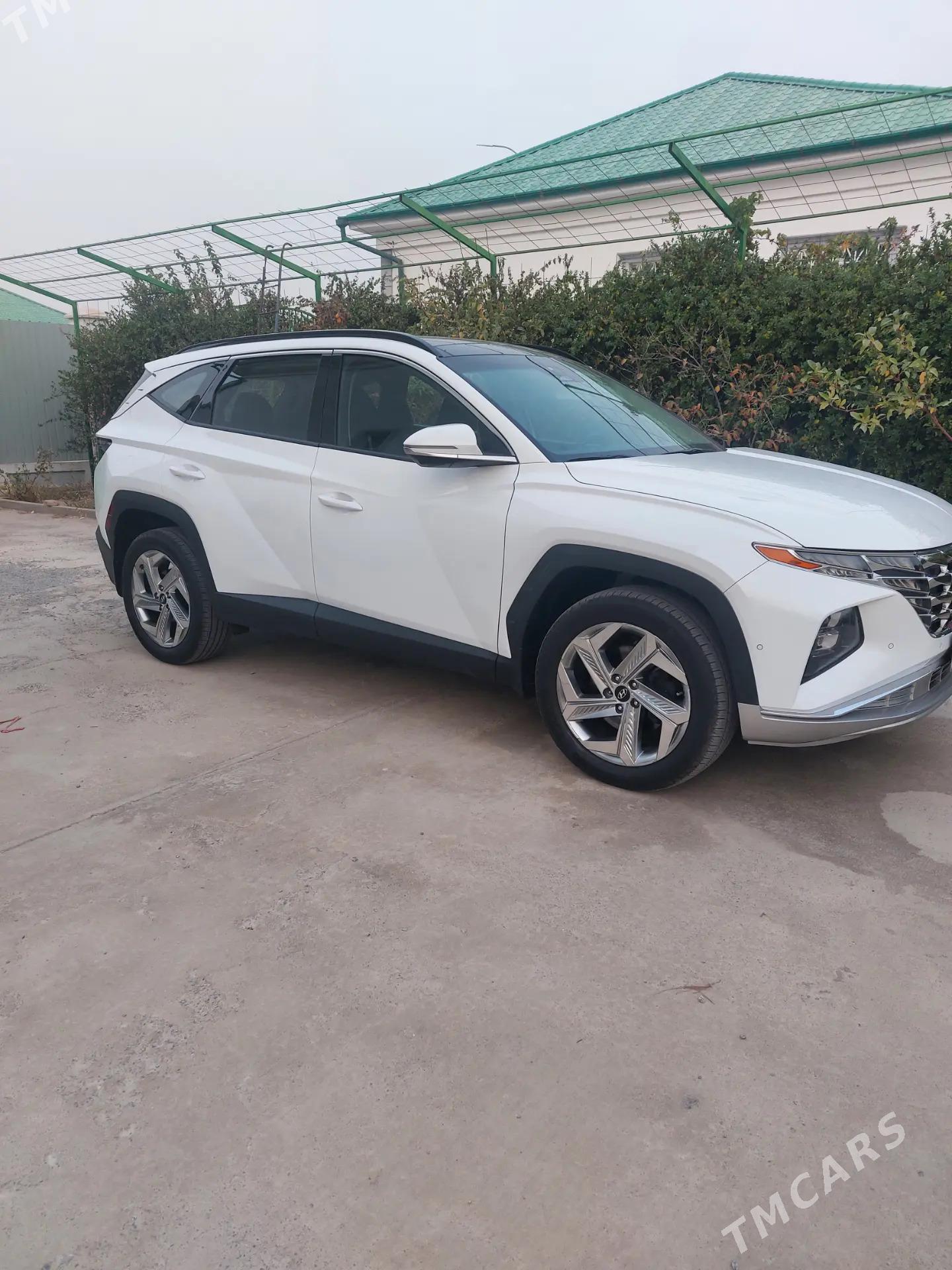 Hyundai Tucson 2023 - 370 000 TMT - Ашхабад - img 7