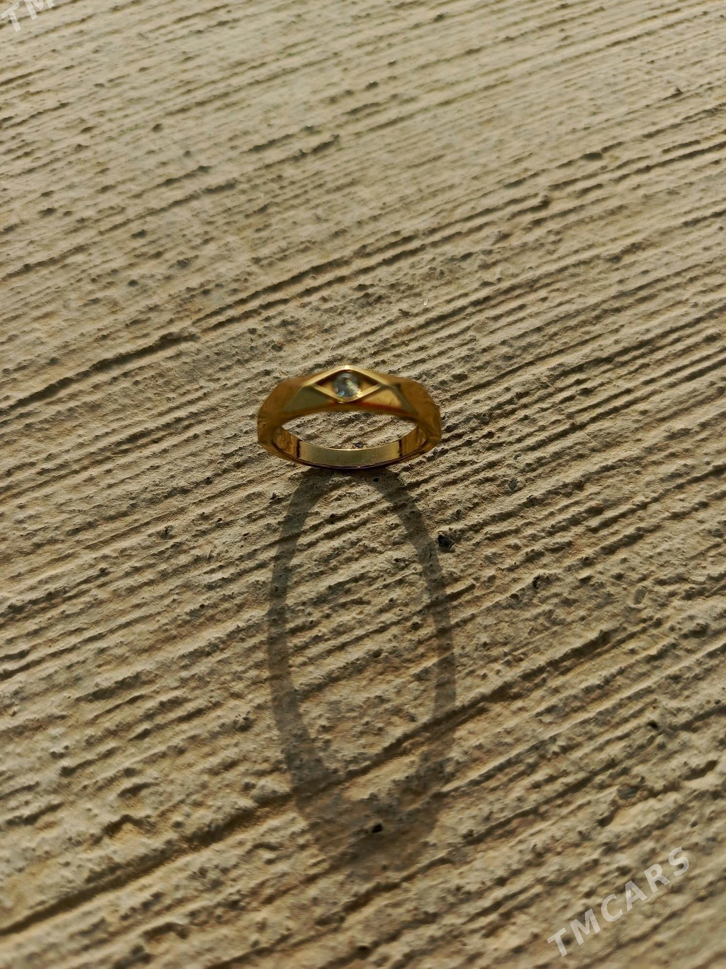 Ýuzik buşterýa - Бузмеин ГРЭС - img 3