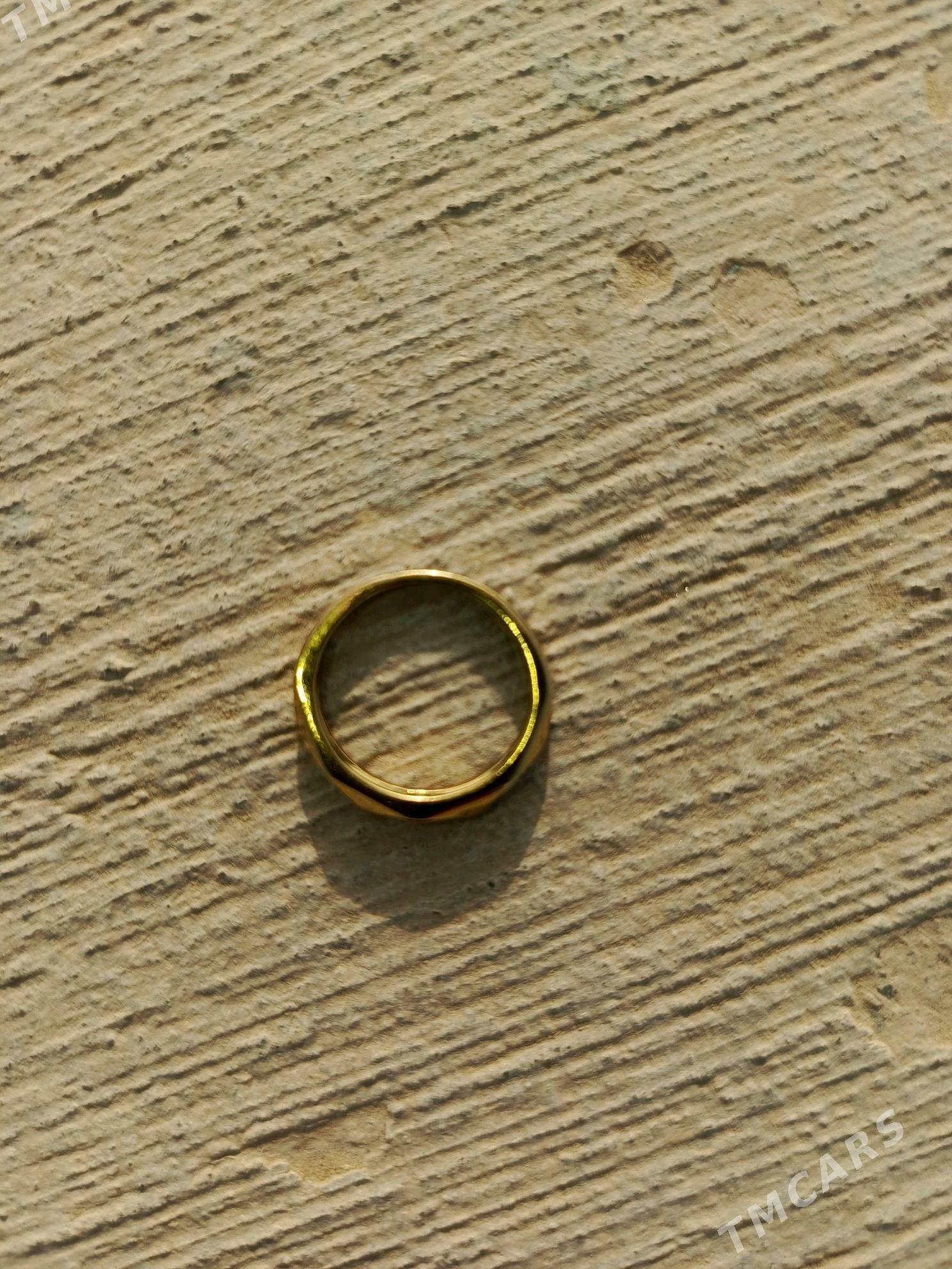 Ýuzik buşterýa - Бузмеин ГРЭС - img 4