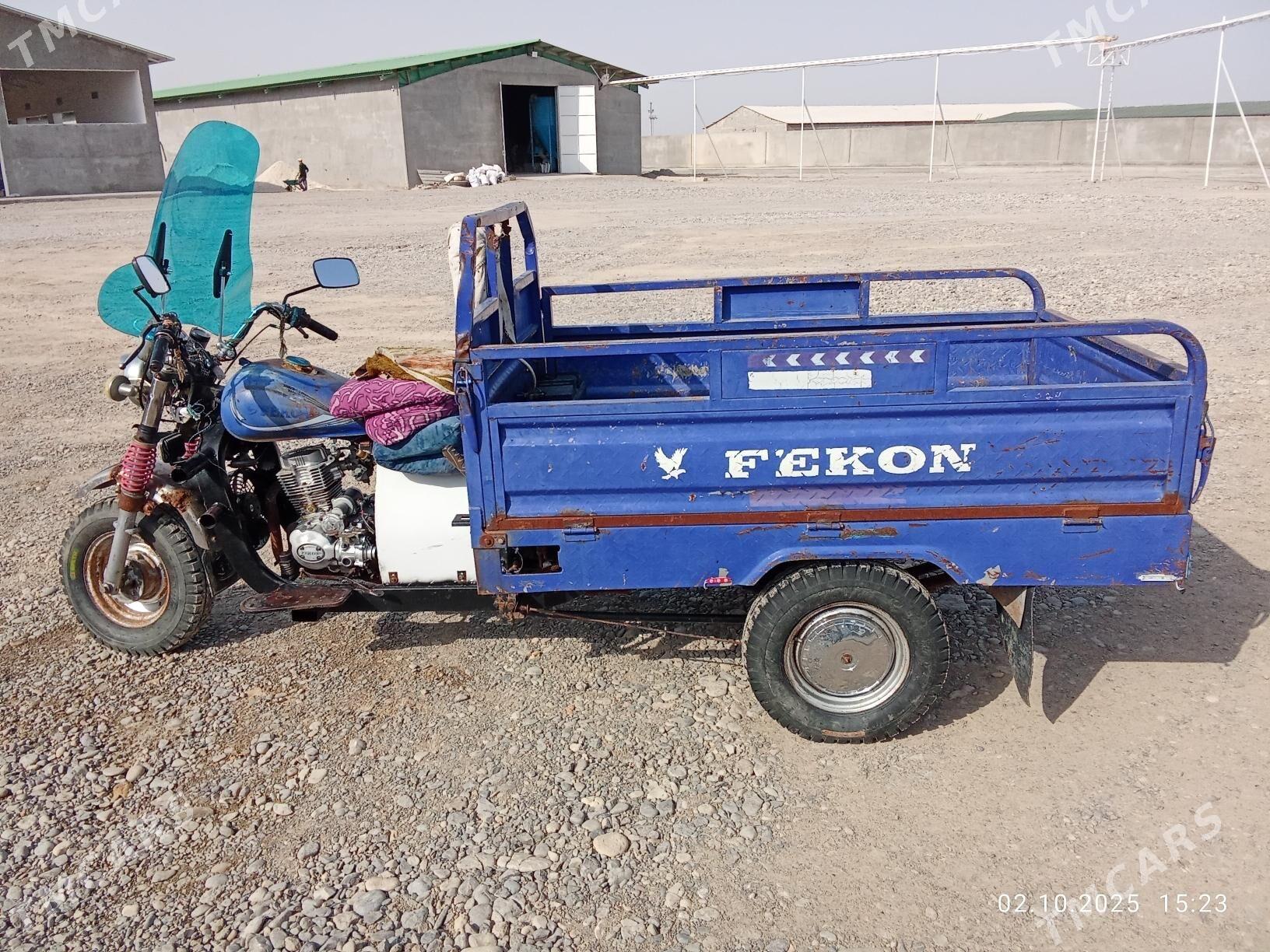 Fekon FK150-8G 2014 - 16 000 TMT - Ак-Бугдайский этрап - img 2