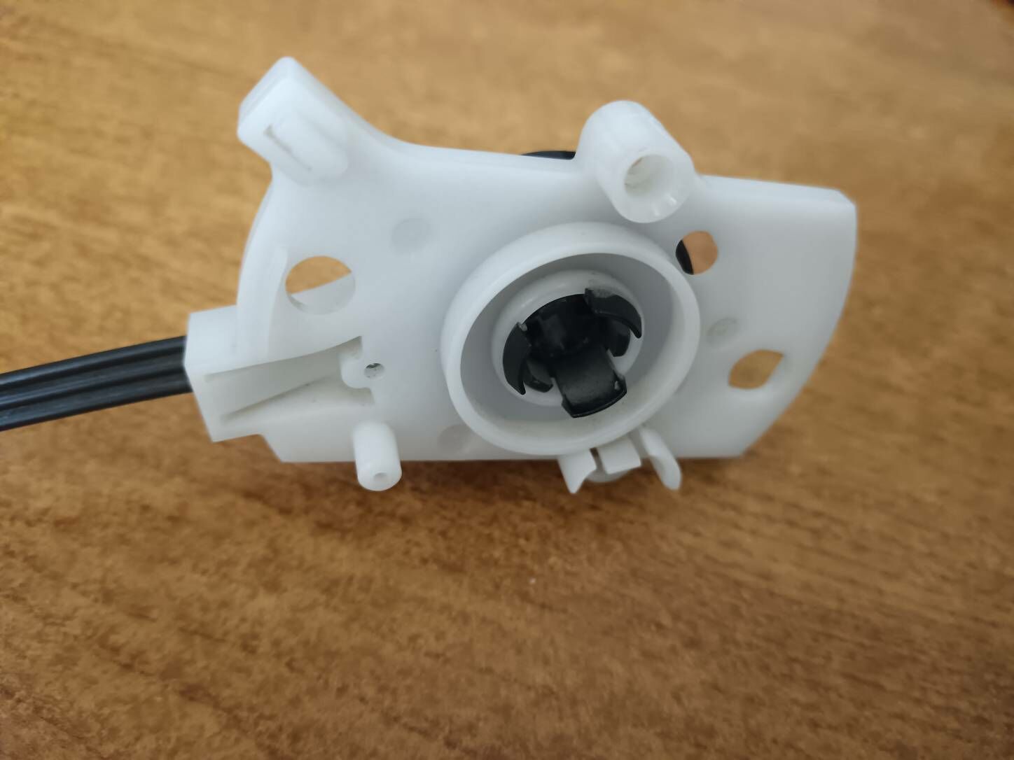 Öküz kelle Klimat trosy 100 TMT - Дашогуз - img 3