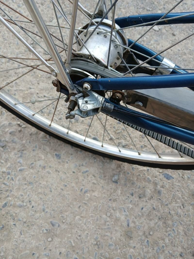 27lik tiger - Мары - img 2