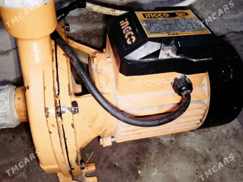 Ingo nasos - Болдумсаз - img 2