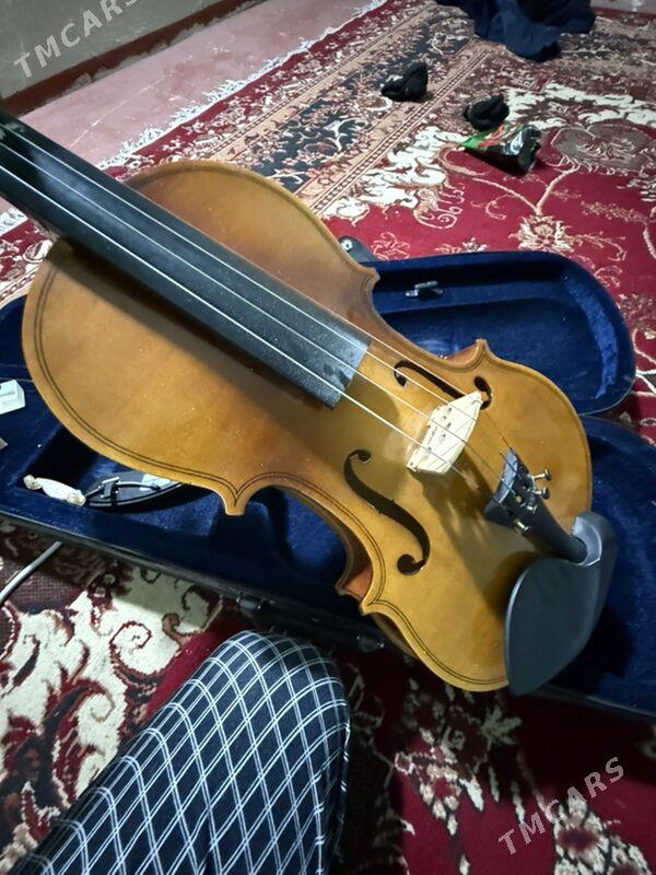 skripka - Tejen - img 2