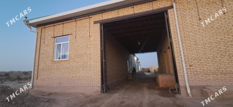 Jay alana masin mugt - Dänew - img 2