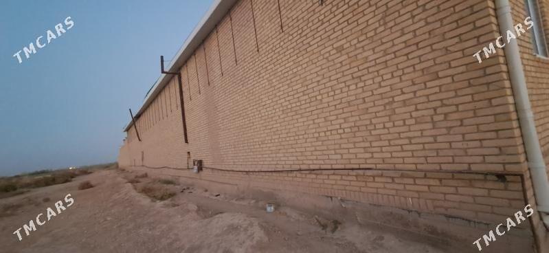 Jay alana masin mugt - Dänew - img 3