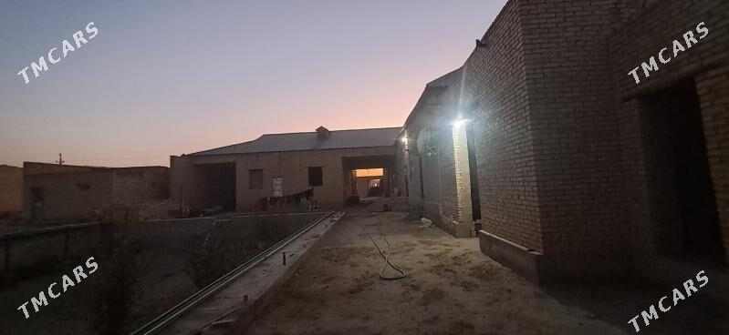 Jay alana masin mugt - Dänew - img 4