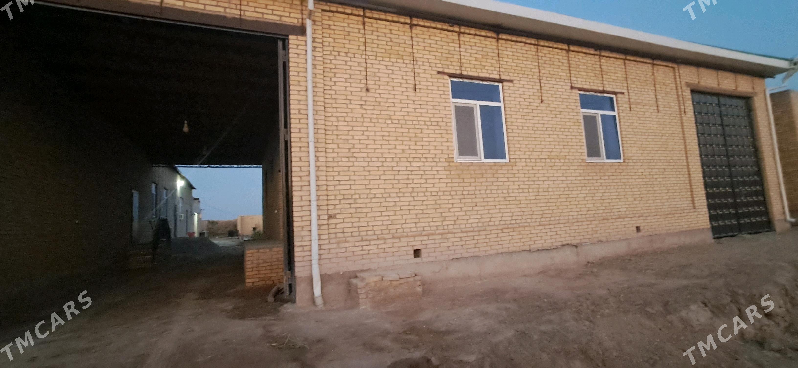 Jay alana masin mugt - Dänew - img 5