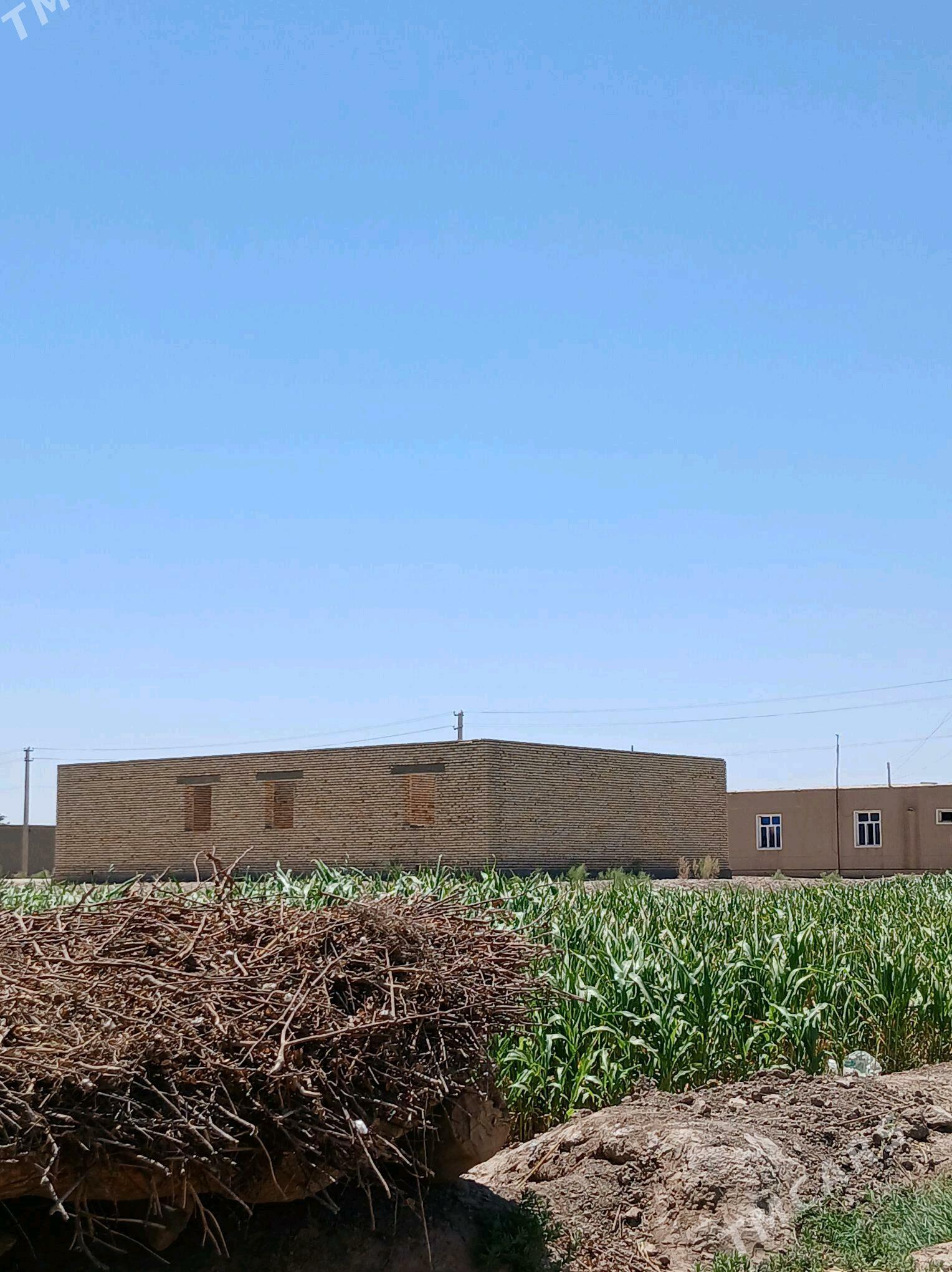 satlyk jay - Акдепе - img 5