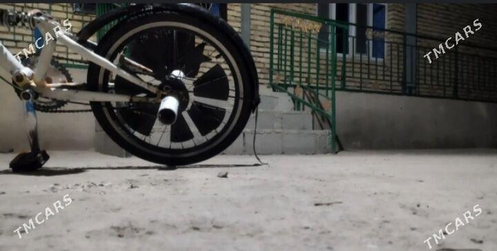 tigir - Tejen - img 6