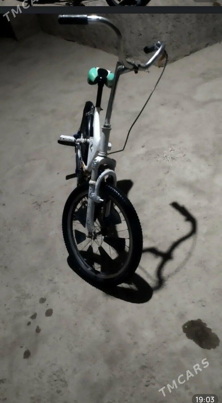 tigir - Tejen - img 7