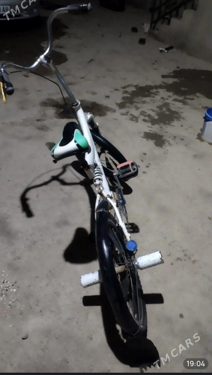 tigir - Tejen - img 5