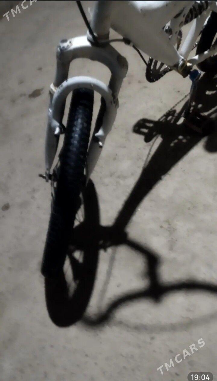 tigir - Tejen - img 2