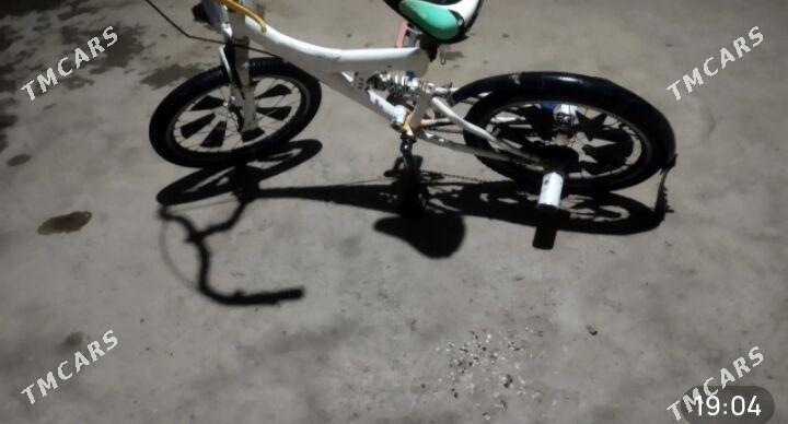 tigir - Tejen - img 4