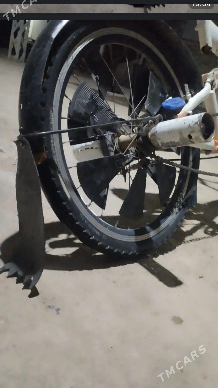 tigir - Tejen - img 3