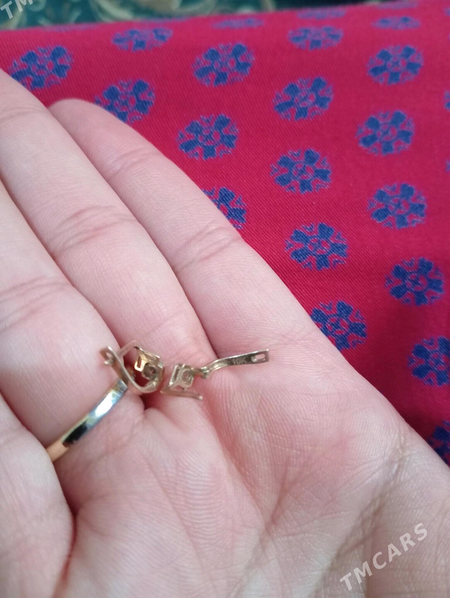 Gyzyl gulakhalka - Gyzylarbat - img 2