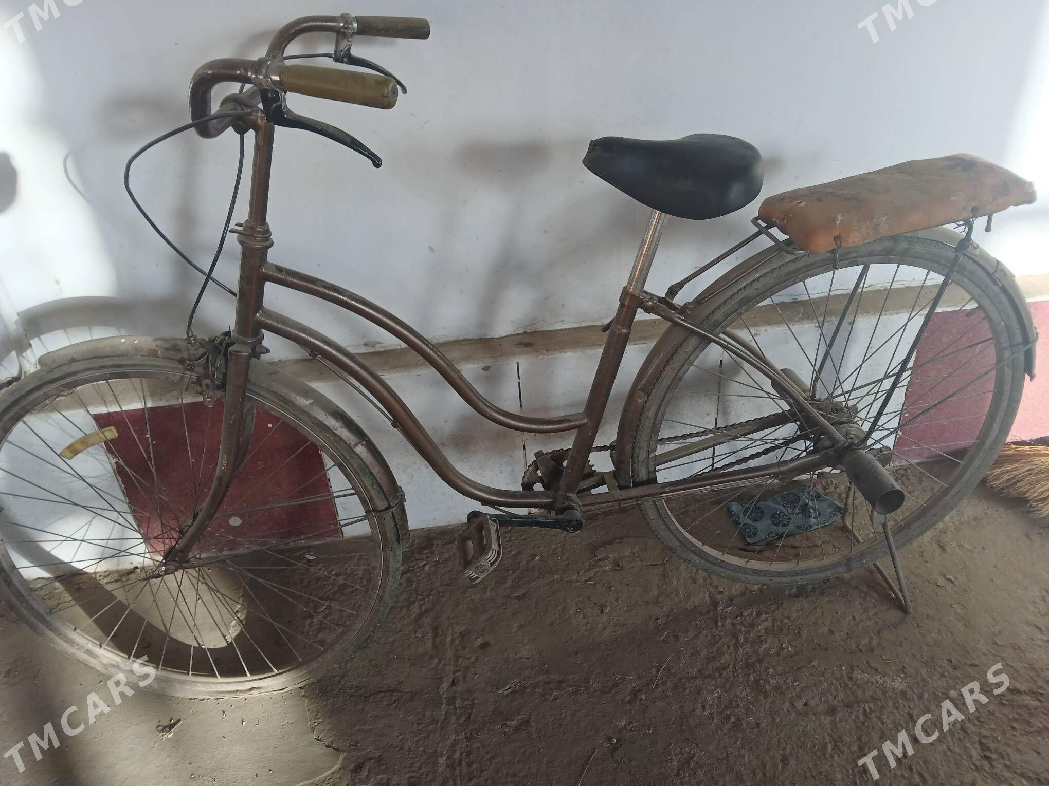 велосипед - Dänew - img 2