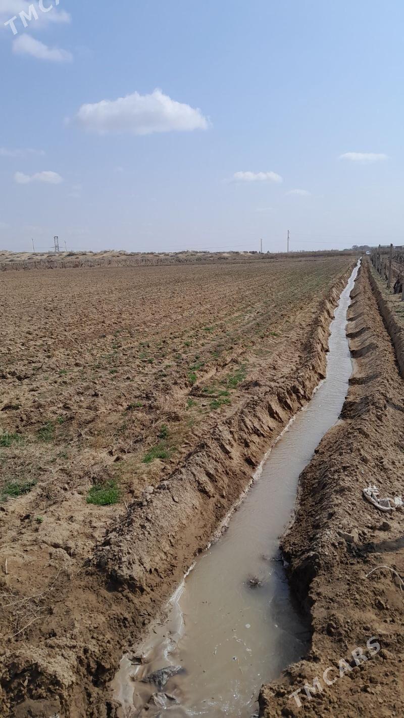 Getdar Yzum Yorunja - Гёкдепе - img 5