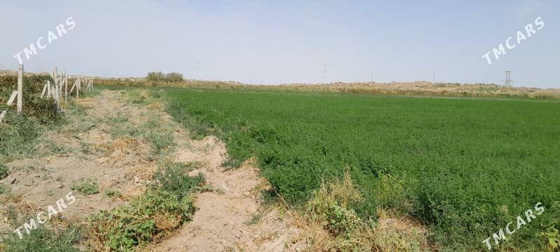 Getdar Yzum Yorunja - Гёкдепе - img 8