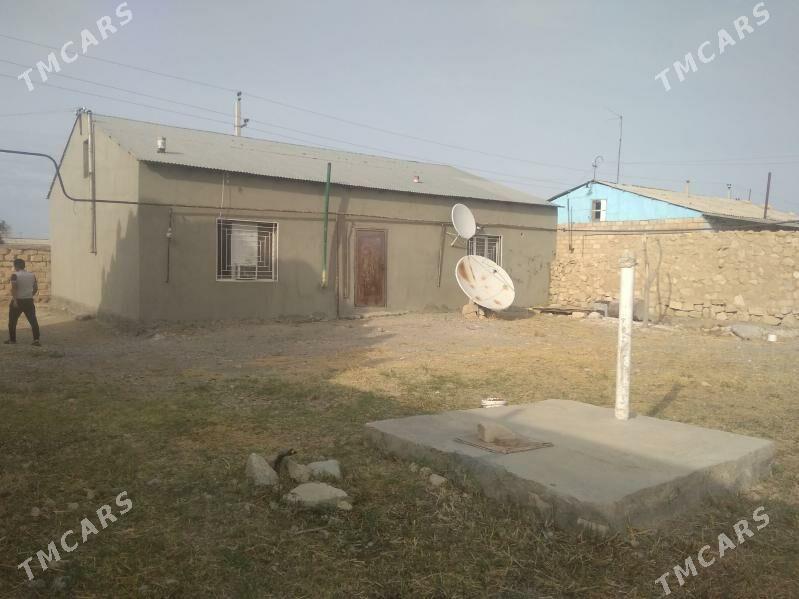 Satlyk Jay Gyzylarbat - Gyzylarbat - img 4