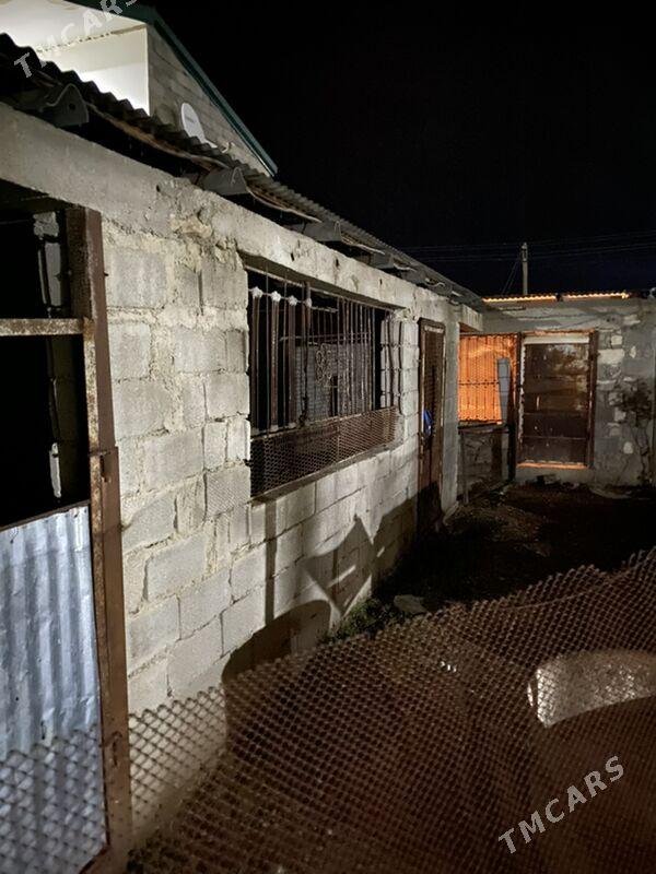 Daca 1 - Балканабат - img 10