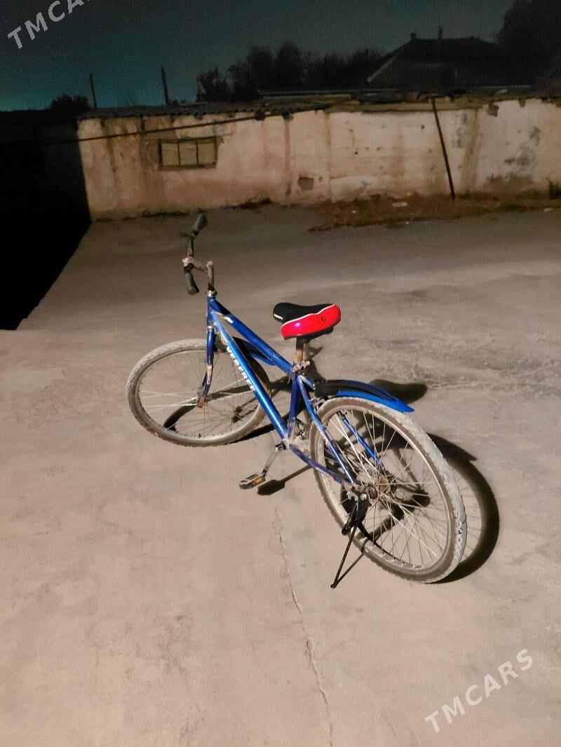 Tigir - Багир - img 4