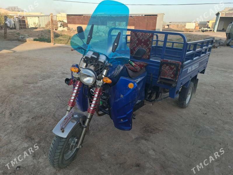 Fekon FK200-14G 2018 - 17 000 TMT - Sakarçäge - img 2