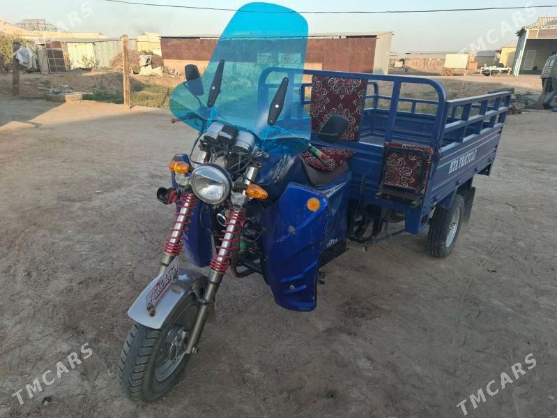 Fekon FK200-14G 2018 - 17 000 TMT - Sakarçäge - img 3