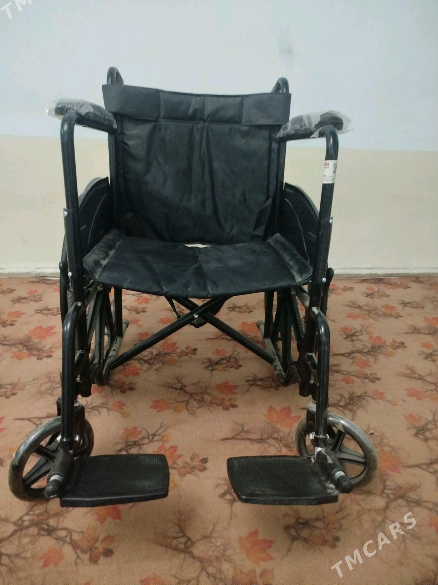 kalaska - Daşoguz - img 2