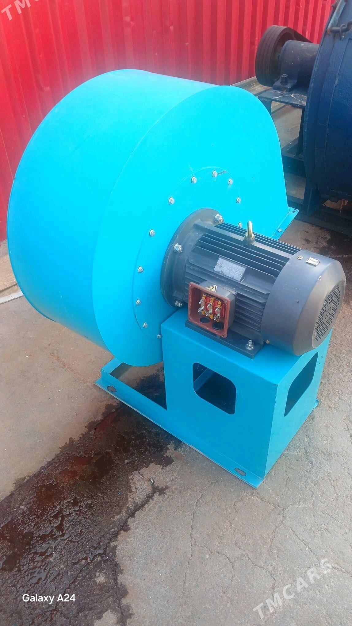 ulitka howalandyrma - Бузмеин - img 4