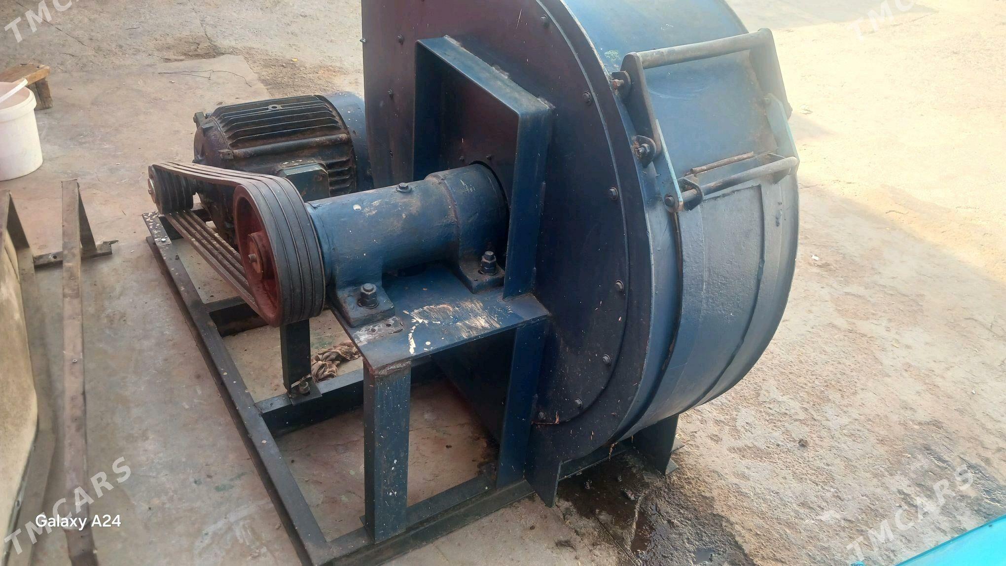 ulitka howalandyrma - Бузмеин - img 3