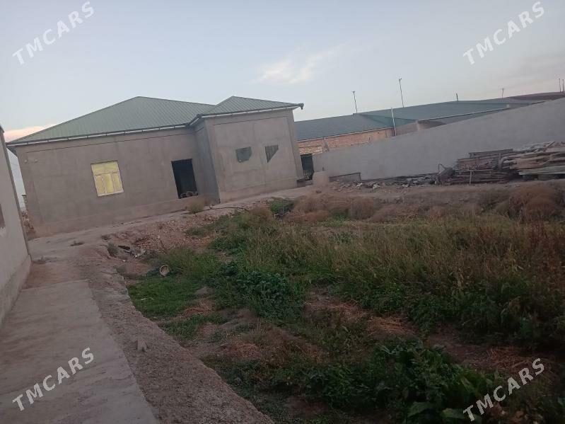 jay - Дашогуз - img 2